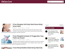 Tablet Screenshot of okgan.com